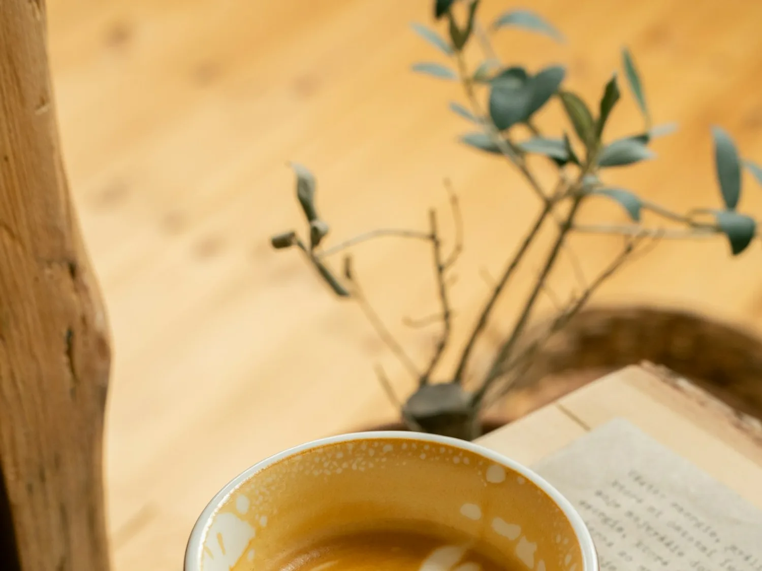 Protein Iced Latte drink